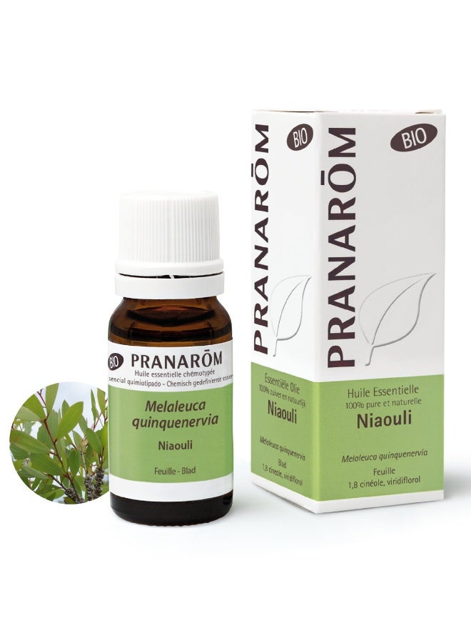 PRANAROM Pranarôm Bio Essential Oil Niaouli (Melaleuca quinquenervia CT cineole) 10 ml - Image 5